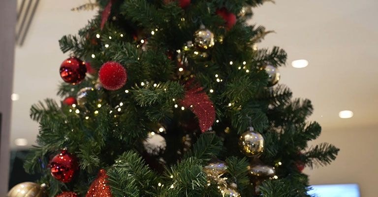 E’ sempre festa se possiamo condividerla con Te!